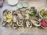 음식, seafood, 해물, 석화, food, 사진,이미지,일러스트,캘리그라피 - kainrot작가 크라우드픽 - 저작권 걱정 없는 상업용 이미지