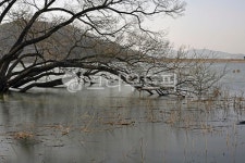 신정호, 신정호국민관광지, 아산, 인공호수, 호수, 사진,이미지,일러스트,캘리그라피 - Deep bLUE작가 크라우드픽 - 저작권 걱정 없는 상업용... 
