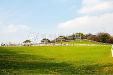 목장, 원당종마목장, 들판, 풍경, 목초지, 사진,이미지,일러스트,캘리그라피 - 메추리알작가 크라우드픽 - 저작권 걱정 없는 상업용 이미지