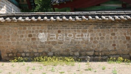 마당, 담, 담장, 담벼락, 꽃, 사진,이미지,일러스트,캘리그라피 - 장원작가 크라우드픽 - 저작권 걱정 없는 상업용 이미지