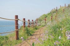 명지오션시티 해안산책로 체육시설4 | 해안길, 산책로, 꽃, flower, ocean, 사진,이미지,일러스트,캘리그라피 - 가욤작가 크라우드픽 - 저작권 걱정 없는 상업용 이미지