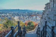 와룡공원, 와룡공원길, 성북동, 산책, 산책로, 사진,이미지,일러스트,캘리그라피 - imlover작가 크라우드픽 - 저작권 걱정 없는 상업용 이미지