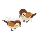 참새, sparrow, treesparrow, 새, 조류, 사진,이미지,일러스트,캘리그라피 - DalSurf작가 크라우드픽 - 저작권 걱정 없는 상업용 이미지