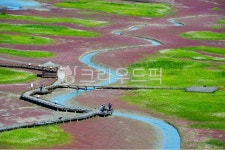 nature, 자연, outdoors, 옥외, 신안증도태평염전, 사진,이미지,일러스트,캘리그라피 - 영산공작가 크라우드픽 - 저작권 걱정 없는 상업용... 
