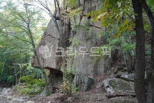 설악산, 가을, 바위, tree, treetrunk, 사진,이미지,일러스트,캘리그라피 - 웅장작가 크라우드픽 - 저작권 걱정 없는 상업용 이미지