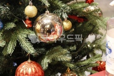 tree, 나무, 방울, 크리스마스, 이벤트, 사진,이미지,일러스트,캘리그라피 - 슈렉작가 크라우드픽 - 저작권 걱정 없는 상업용 이미지