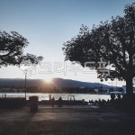 tree, 나무, sunlight, 햇빛, 하늘, 사진,이미지,일러스트,캘리그라피 - jsryu작가 크라우드픽 - 저작권 걱정 없는 상업용 이미지