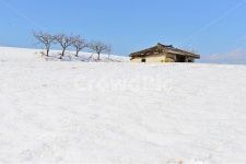 장성, 삼서, 외딴집, 외딴집설경, 겨울, 사진,이미지,일러스트,캘리그라피 - 영산공작가 크라우드픽 - 저작권 걱정 없는 상업용 이미지