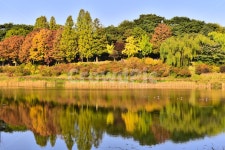 가을, 가을배경, 가을풍경, 호숫가, 호수, 사진,이미지,일러스트,캘리그라피 - space작가 크라우드픽 - 저작권 걱정 없는 상업용 이미지