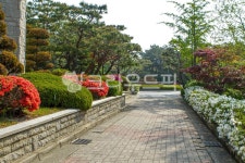 서울, 안암동, 고려대학교, 고려대, 고대, 사진,이미지,일러스트,캘리그라피 - imlover작가 크라우드픽 - 저작권 걱정 없는 상업용 이미지