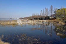 신정호, 신정호국민관광지, 아산, 인공호수, 호수, 사진,이미지,일러스트,캘리그라피 - Deep bLUE작가 크라우드픽 - 저작권 걱정 없는 상업용... 