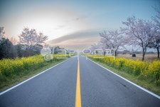 freeway, highway, 고속도로, 도로, road, 사진,이미지,일러스트,캘리그라피 - marine893작가 크라우드픽 - 저작권 걱정 없는 상업용 이미지