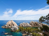 풍경, 바다, 자연, 구름, 소나무, 사진,이미지,일러스트,캘리그라피 - monkeyksg작가 크라우드픽 - 저작권 걱정 없는 상업용 이미지