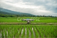 산, 휴식, 릴렉스, 힐링, 쉼, 사진,이미지,일러스트,캘리그라피 - jjickmuk작가 크라우드픽 - 저작권 걱정 없는 상업용 이미지
