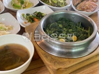 한식, 곤드레밥, 곤드레밥상, 곤드레나물밥, 음식, 사진,이미지,일러스트,캘리그라피 - 550작가 크라우드픽 - 저작권 걱정 없는 상업용 이미지