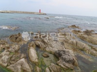 파도, 해변, 시원한, 여름, 바다, 사진,이미지,일러스트,캘리그라피 - 다담s작가 크라우드픽 - 저작권 걱정 없는 상업용 이미지