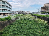 공원, 公園, park, 옥외, outside, 사진,이미지,일러스트,캘리그라피 - 망이12작가 크라우드픽 - 저작권 걱정 없는 상업용 이미지