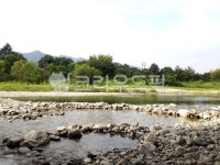 개곡, 자연, nature, 연못, pond, 사진,이미지,일러스트,캘리그라피 - 채탐자작가 크라우드픽 - 저작권 걱정 없는 상업용 이미지