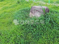 애완견놀이터, 애완견쉼터, 반려견놀이터, 놀이터, 목초지, 사진,이미지,일러스트,캘리그라피 - Deep bLUE작가 크라우드픽 - 저작권 걱정 없는... 