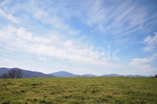 초원, 목장, 잔디, 하늘, 평창, 사진,이미지,일러스트,캘리그라피 - 몽상가의숲작가 크라우드픽 - 저작권 걱정 없는 상업용 이미지