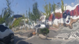 반영, 혼돈, 자동차, 횡단보도, 나무, 사진,이미지,일러스트,캘리그라피 - 해링턴작가 크라우드픽 - 저작권 걱정 없는 상업용 이미지