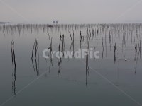 바다, 매생이, 고흥, 고흥월포마을, 고흥신평리, 사진,이미지,일러스트,캘리그라피 - 풍경채작가 크라우드픽 - 저작권 걱정 없는 상업용 이미지