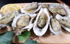 석화, 굴, 수산물, 해산물, 통굴, 사진,이미지,일러스트,캘리그라피 - 타임즈작가 크라우드픽 - 저작권 걱정 없는 상업용 이미지