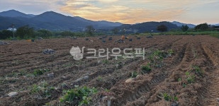 바닥, 흙, 자연, 산, 저녁, 사진,이미지,일러스트,캘리그라피 - Nphseo59작가 크라우드픽 - 저작권 걱정 없는 상업용 이미지