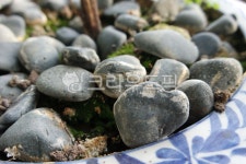 돌, 자갈, 화분, 돌멩이, stone, 사진,이미지,일러스트,캘리그라피 - Garam작가 크라우드픽 - 저작권 걱정 없는 상업용 이미지
