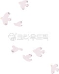 동물, 새, 흰새, 백색새, bird, 사진,이미지,일러스트,캘리그라피 - 나날디자인작가 크라우드픽 - 저작권 걱정 없는 상업용 이미지