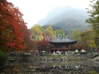 백암산, 백양사, 가을, 단풍, 반영, 사진,이미지,일러스트,캘리그라피 - 별이빛나작가 크라우드픽 - 저작권 걱정 없는 상업용 이미지