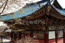 석남사, 산수유, 매화, 석남사봄, 산수유나무, 사진,이미지,일러스트,캘리그라피 - afterrain작가 크라우드픽 - 저작권 걱정 없는 상업용 이미지
