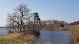 서산, 용비지, 용현저수지, 목장, 농장, 사진,이미지,일러스트,캘리그라피 - cem309작가 크라우드픽 - 저작권 걱정 없는 상업용 이미지