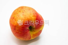 apple, 사과, fruit, 과일, food, 사진,이미지,일러스트,캘리그라피 - studio H작가 크라우드픽 - 저작권 걱정 없는 상업용 이미지