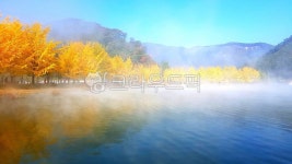 문광저수지, 가로수길, 호수, 은행나무, 가을, 사진,이미지,일러스트,캘리그라피 - 노사작가 크라우드픽 - 저작권 걱정 없는 상업용 이미지