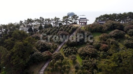 동백, 동백정, 동백꽃, 꽃, 자연, 사진,이미지,일러스트,캘리그라피 - 선우연작가 크라우드픽 - 저작권 걱정 없는 상업용 이미지