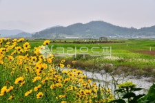 nature, 자연, outdoors, 옥외, 신안증도태평염전, 사진,이미지,일러스트,캘리그라피 - 영산공작가 크라우드픽 - 저작권 걱정 없는 상업용... 