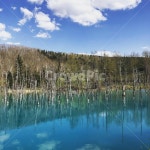 호수, 구름, 나무, 청의호수, 삿포로, 사진,이미지,일러스트,캘리그라피 - Nzhakekfo123작가 크라우드픽 - 저작권 걱정 없는 상업용 이미지