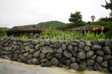 울타리, 돌담집, 집, 꽃, 현무암, 사진,이미지,일러스트,캘리그라피 - 귀리작가 크라우드픽 - 저작권 걱정 없는 상업용 이미지