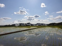 농장, paddyfield, 하늘, sky, 구름, 사진,이미지,일러스트,캘리그라피 - 뿌리깊은남나무작가 크라우드픽 - 저작권 걱정 없는 상업용 이미지
