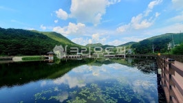 자연, nature, 호수, 구미, 검성지, 사진,이미지,일러스트,캘리그라피 - woori2jin작가 크라우드픽 - 저작권 걱정 없는 상업용 이미지