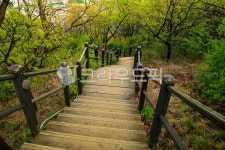 매봉산공원, 공원, 길, 보도, 산책로, 사진,이미지,일러스트,캘리그라피 - imlover작가 크라우드픽 - 저작권 걱정 없는 상업용 이미지