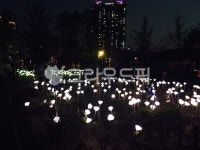 시민공원, 공원, lighting, 조명, 산책, 사진,이미지,일러스트,캘리그라피 - Nkyj9207작가 크라우드픽 - 저작권 걱정 없는 상업용 이미지