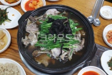 닭, 닭백숙, 백숙, 능이버섯, 능이버섯백숙, 사진,이미지,일러스트,캘리그라피 - 하느바리기작가 크라우드픽 - 저작권 걱정 없는 상업용 이미지