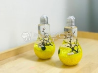 plant, 식물, 마리모, 자갈, 어항, 사진,이미지,일러스트,캘리그라피 - 희윤공주작가 크라우드픽 - 저작권 걱정 없는 상업용 이미지