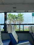 제주, 버스, 자연, 풍경, 창문, 사진,이미지,일러스트,캘리그라피 - jeudi작가 크라우드픽 - 저작권 걱정 없는 상업용 이미지