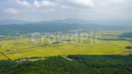 논밭, 경주, 남산, 금오정, 벼농사, 사진,이미지,일러스트,캘리그라피 - 크리에이티브열정작가 크라우드픽 - 저작권 걱정 없는 상업용 이미지