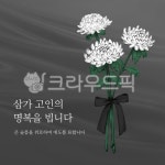 장례식, 상조, 국화, 국화꽃, 국화일러스트, 사진,이미지,일러스트,캘리그라피 - kobirang작가 크라우드픽 - 저작권 걱정 없는 상업용 이미지