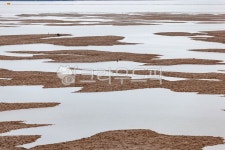 바다, 갯골, 갯벌, 수로, 가을, 사진,이미지,일러스트,캘리그라피 - 장구작가 크라우드픽 - 저작권 걱정 없는 상업용 이미지