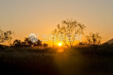 들판, flower, 농장, 경관, red, 사진,이미지,일러스트,캘리그라피 - 순풍작가 크라우드픽 - 저작권 걱정 없는 상업용 이미지